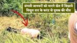 Singrauli News
