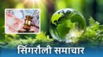 पर्यावरण संरक्षण के उल्लंघन करने पर जुर्माना