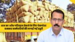 Singrauli News