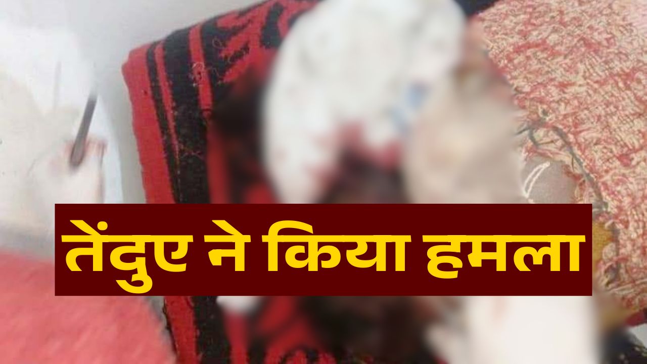 Singrauli News